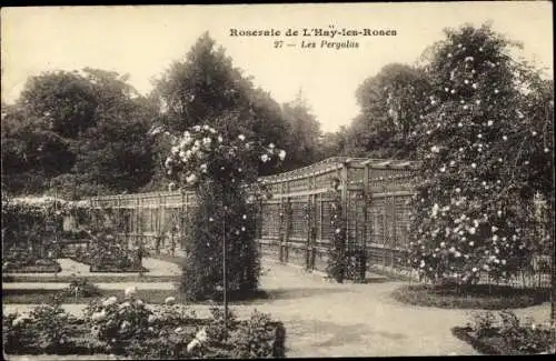 Ak L’Haÿ-les-Roses Val de Marne, Roseraie, Les Pergolas