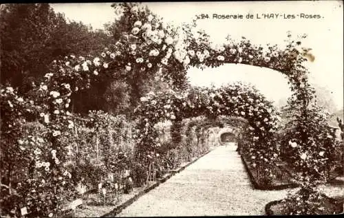 Ak L’Haÿ-les-Roses Val de Marne, Roseraie, Rosengarten