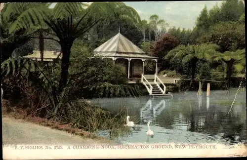 Ak New Plymouth Neuseeland, A Charming Nook, Recreation Ground, Fern Trees