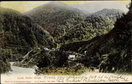Ak Lyell Neuseeland, Buller Gorge, Panorama