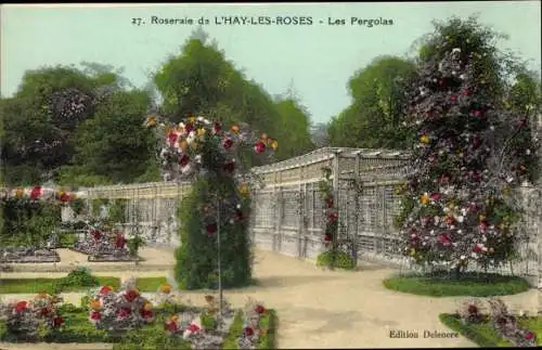 Ak L’Haÿ-les-Roses Val de Marne, Roseraie, Les Pergolas