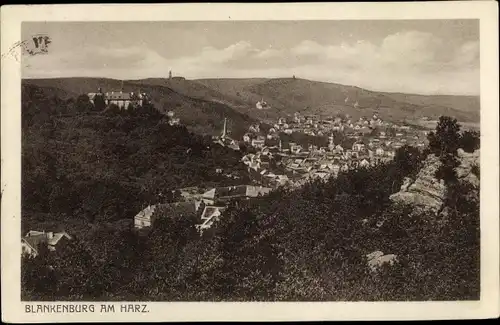 Ak Blankenburg am Harz, Gesamtansicht, Waldpartie