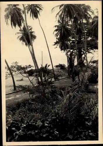 Foto Ak Kindia Guinea, Bord de la Mer avec Palmiers