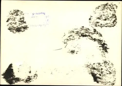 Foto Ak Kindia Guinea, Femmes et Enfants devant un Bâtiment