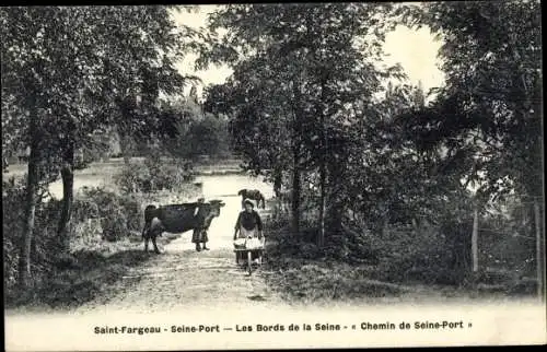 Ak Saint-Fargeau-Ponthierry Seine et Marne, Les Bords de la Seine, Chemin de Seine Port, vache