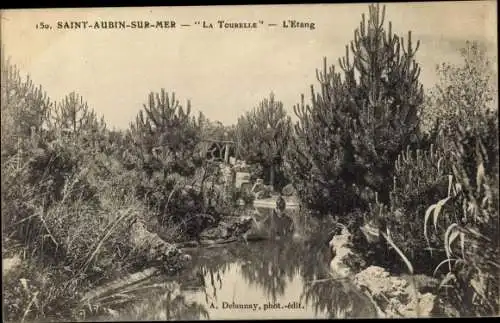 Ak Saint Aubin sur Mer Calvados, La Tourelle, L'Etang