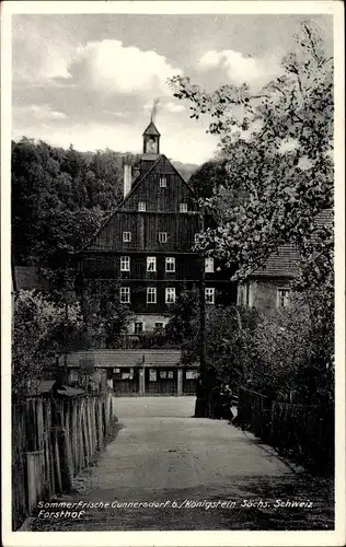 Ak Cunnersdorf Gohrisch in Sachsen, Blick über einen Weg zum Forsthof, blühende Bäume