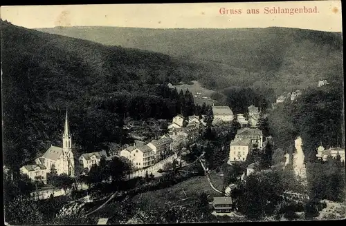 Ak Schlangenbad im Taunus Hessen, Panorama