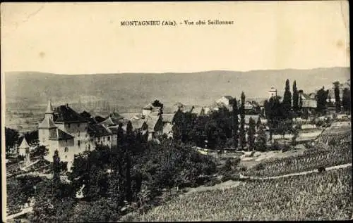 Ak Montagnieu Ain, Vue côté Seillonnaz