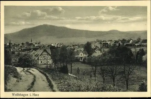 Ak Wolfshagen Langelsheim am Harz, Panorama