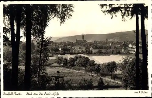Ak Saalfeld an der Saale Thüringen, Panorama