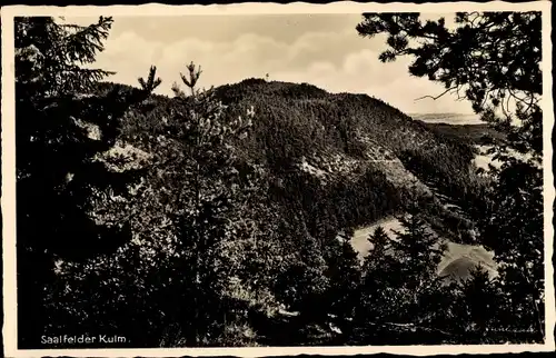 Ak Saalfeld an der Saale Thüringen, Kulm