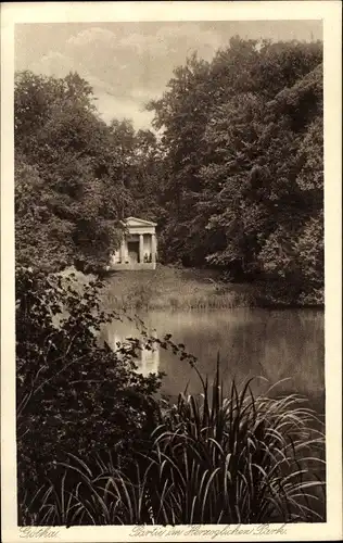Ak Gotha in Thüringen, Partie im Herzoglichen Park