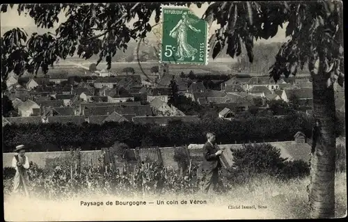 Ak Veron Yonne, Paysage de Bourgogne