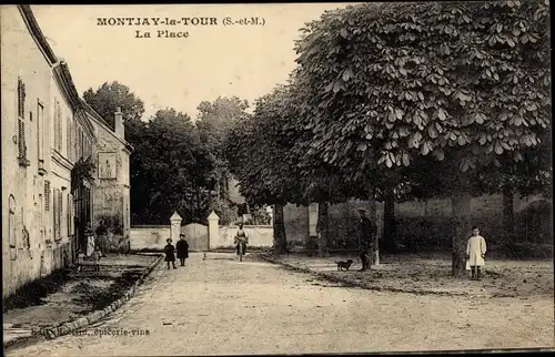 Montjay la Tour Villevaudé Seine et Marne, La Place, arbres et riverains