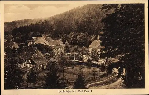 Ak Bad Grund im Harz, Laubhütte, Teilansicht