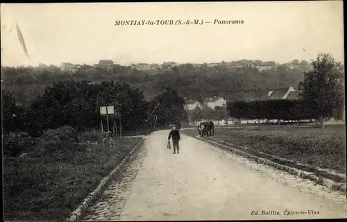 Ak Montjay la Tour Villevaudé Seine et Marne, Panorama, garcon, vaches