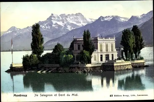 Ak Montreux Kanton Waadt Schweiz, Ile Salagnon et Dent du Midi