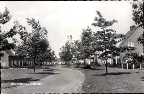 Ak Westerbork Drenthe Niederlande, Eikenlaan