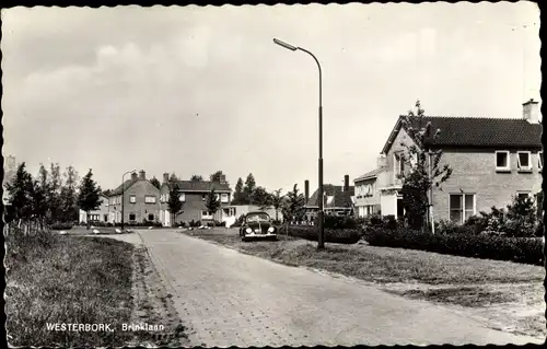 Ak Westerbork Drenthe Niederlande, Brinklaan