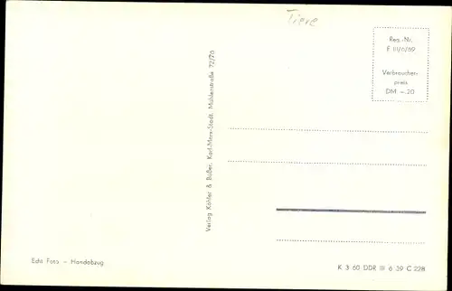 Ak Kleine getigerte Katze