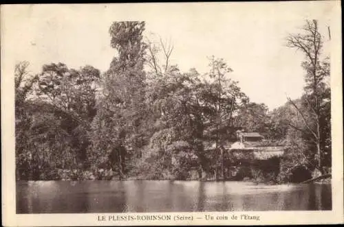 Ak Les Plessis Robinson Hauts de Seine, Un Coin de l´Étang