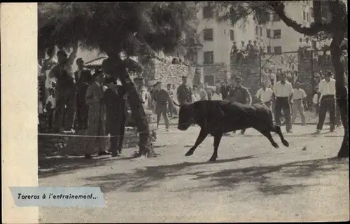 Ak Toreros à l'entrainement, Stierkampf, angebundener Stier