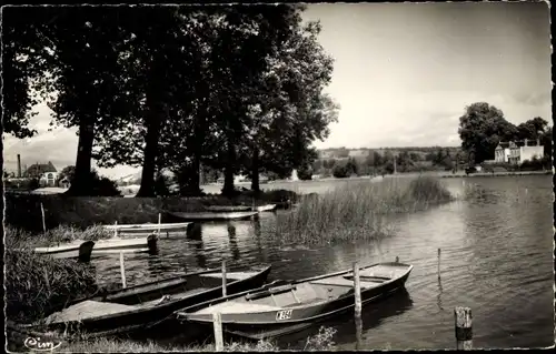 Ak Villeneuve sur Yonne, L´Île, Les Bords de l´Yonne