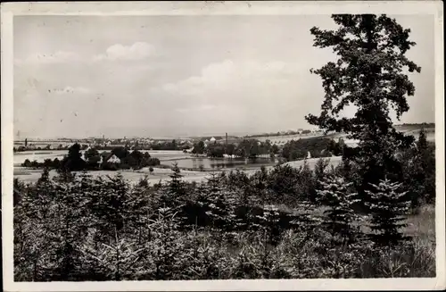 Ak Mühlau Sachsen, Panorama