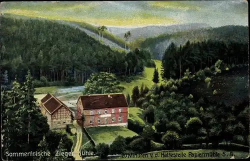 Ak Bad Klosterlausnitz, Partie a. d. Ziegenmühle i. Zeitzgrund, Papiermühle