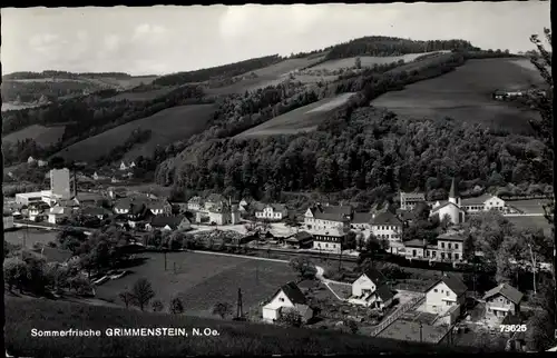 Ak Grimmenstein Niederösterreich, Panorama