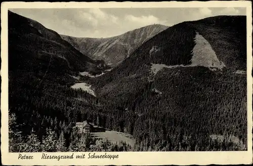 Ak Pec pod Sněžkou Petzer Reg, Riesengrund mit Schneekoppe