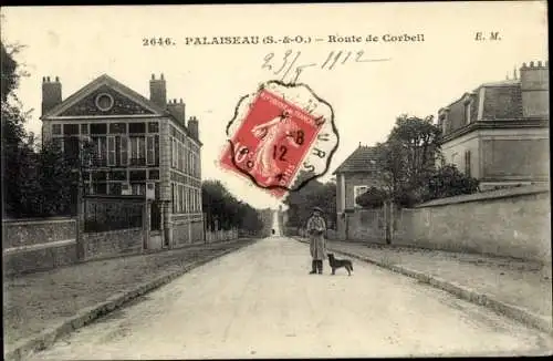 Ak Palaiseau Essonne, Route de Corbeil