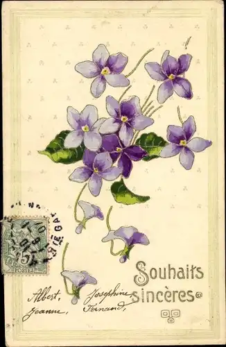 Präge Ak Glückwunsch, Souhaits sinceres, Veilchen