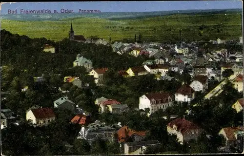 Ak Bad Freienwalde an der Oder, Panorama