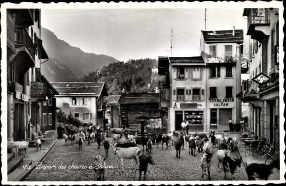 Ak Ansichtskarte Les Lindarets Le Village Et Ses Petites Chevres Des Alpes Les Lindarets Nr Kr13027 Oldthing Ansichtskarten Haute Savoie