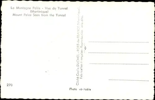 Ak Martinique, La Montagne Pelée, Vue du Tunnel