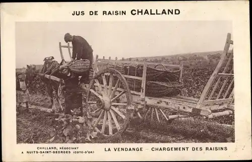 Ak Jus de Raisin Challand, la Vendange, Chargement des Raisins, Reklame