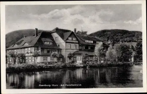 Ak Ilsenburg am Nordharz, Am Forellenteich