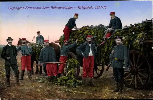 Ak Gefangene Franzosen beim Rübenverladen, Kriegsgefangene, I. WK