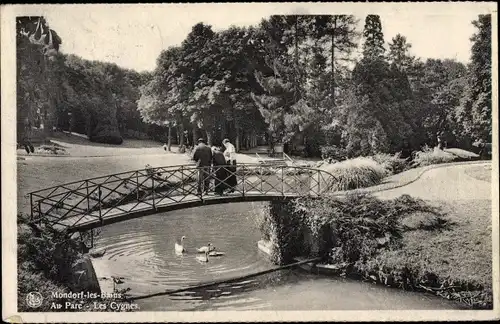 Ak Mondorf les Bains Bad Mondorf Luxemburg, Au Parc, Les Cygnes