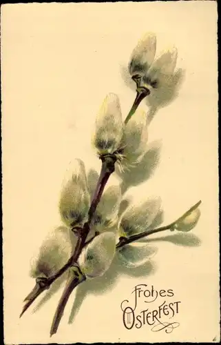 Ak Glückwunsch Ostern, Weidenkätzchen