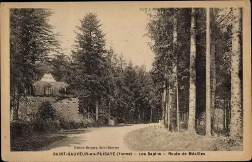 Ak Saint Sauveur en Puisaye Yonne, Les Sapins, Route de Mezilles