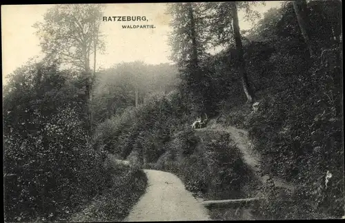 Ak Ratzeburg im Herzogtum Lauenburg, Waldpartie