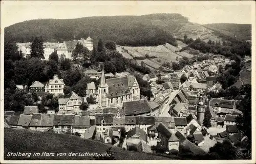 Ak Stolberg Südharz, Blick von der Lutherbuche