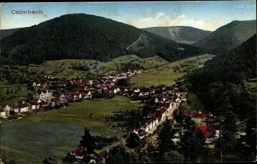 Ak Calmbach Bad Wildbad im Schwarzwald, Panorama des Ortes
