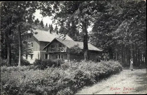Ak Neukirchen b. Hl. Blut, Hoher Bogen, Hausansicht im Wald