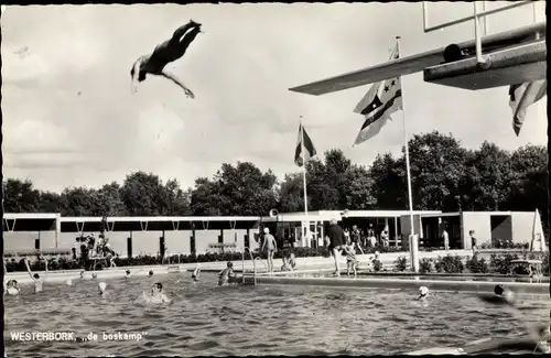 Ak Westerbork Drenthe Niederlande, de boskamp