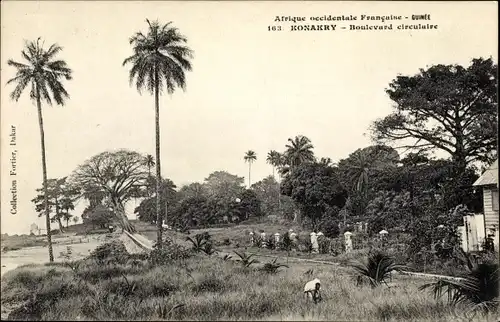 Ak Conakry Konakry Guinea, Boulevard circulaire