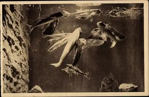 Ak Aquarium du Musée Oceanographique de Monaco, Fliegende Fische, Dactylopterus